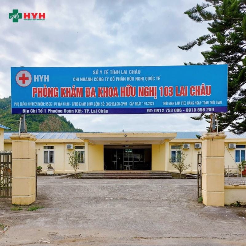 Bệnh Viện Đa Khoa Hữu Nghị 103 Lai Châu - xe cứu thương Lai Châu